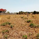 Kitengela_Milimani_50X100_plots_for_sale.2