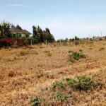 Kitengela_Milimani_50X100_plots_for_sale.4