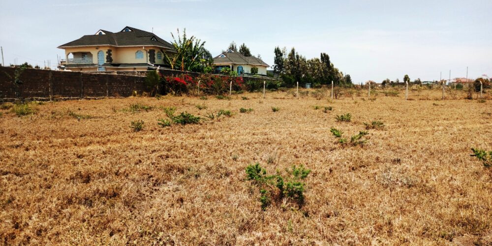 Kitengela_Milimani_50X100_plots_for_sale.8