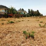 Kitengela_Milimani_50X100_plots_for_sale.8