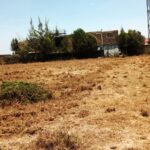 Kitengela_plots_for_sale_along_acacia_road.3