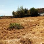 Kitengela_plots_for_sale_along_acacia_road.5