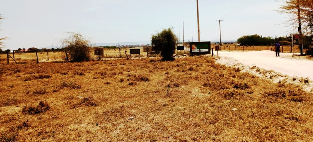 Kitengela_plots_for_sale_along_acacia_road.6