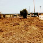 Kitengela_plots_for_sale_along_acacia_road.6