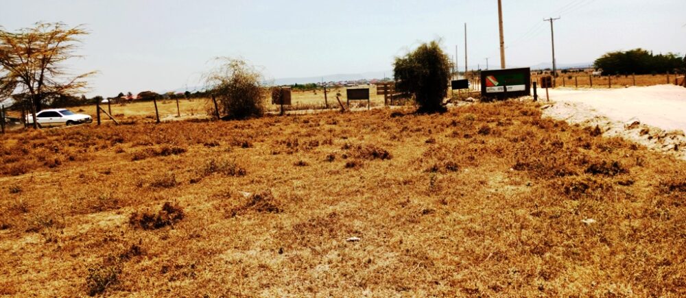 Kitengela_plots_for_sale_along_acacia_road.7