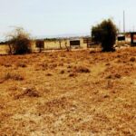 Kitengela_plots_for_sale_along_acacia_road.7