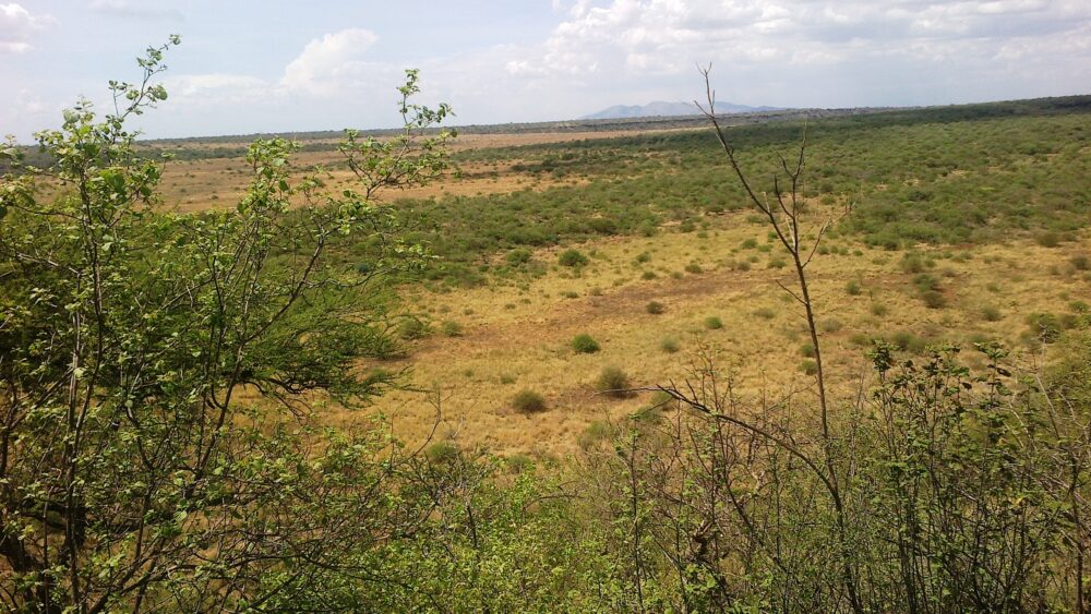 Kajiafo_County_Land_for_Sale.img01