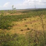 Kajiafo_County_Land_for_Sale.img01