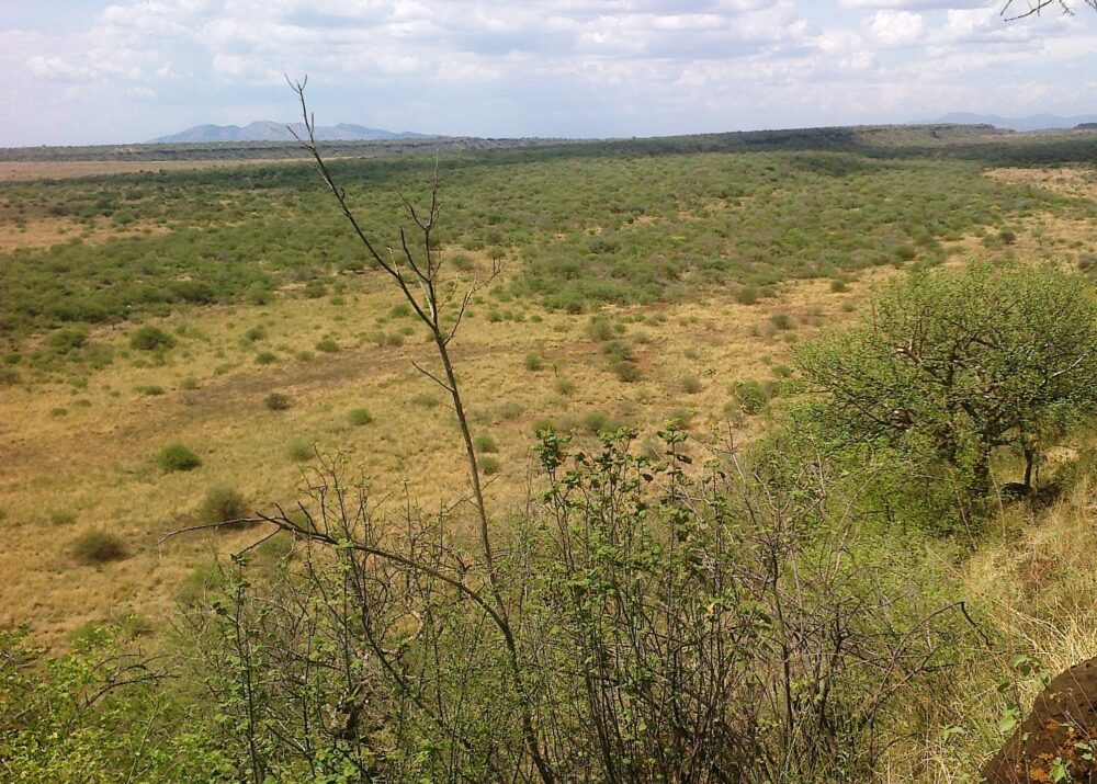 Kajiafo_County_Land_for_Sale.img02