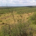 Kajiafo_County_Land_for_Sale.img02