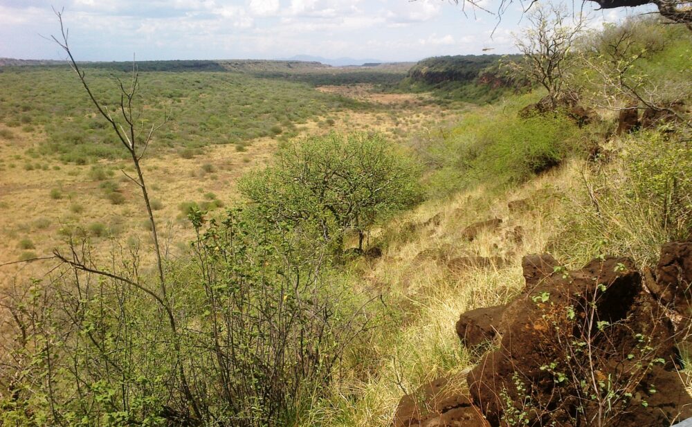 Kajiafo_County_Land_for_Sale.img04