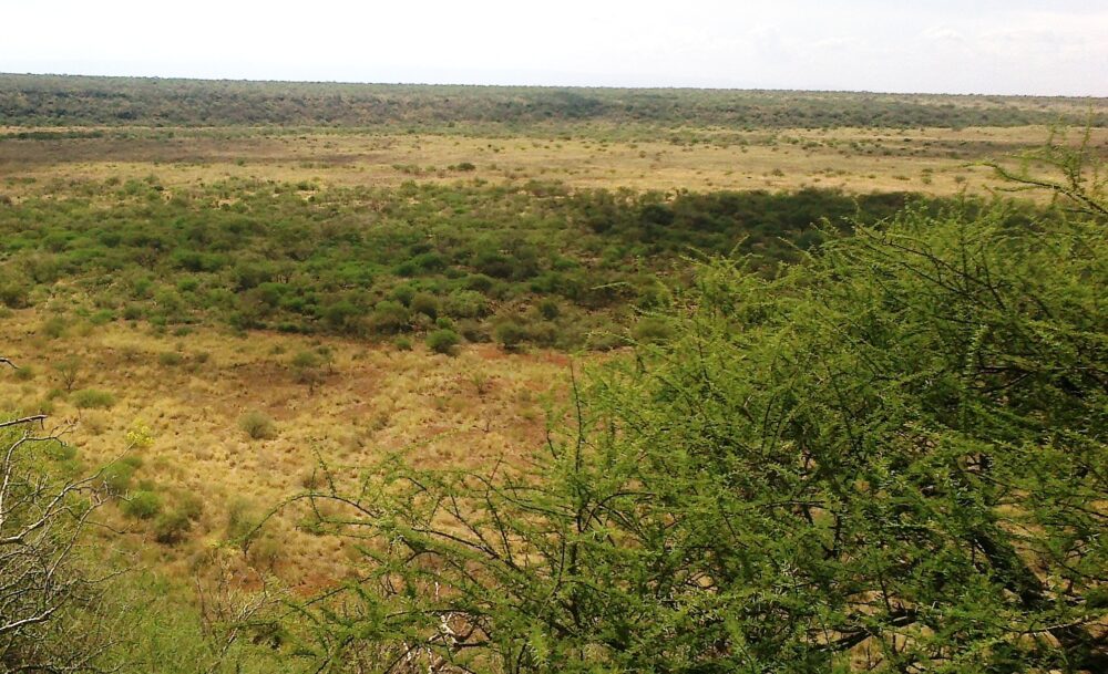 Kajiafo_County_Land_for_Sale.img05