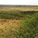 Kajiafo_County_Land_for_Sale.img05