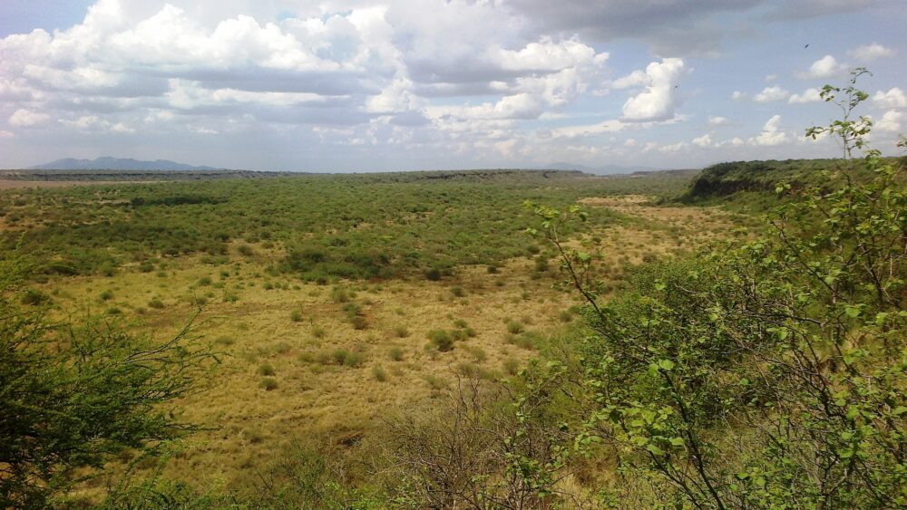 Kajiafo_County_Land_for_Sale.img06