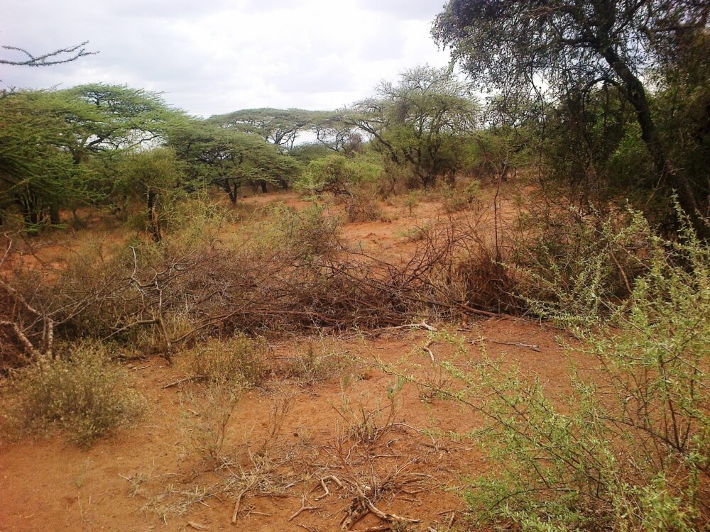 Kajiafo_County_Land_for_Sale.img07