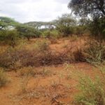 Kajiafo_County_Land_for_Sale.img07