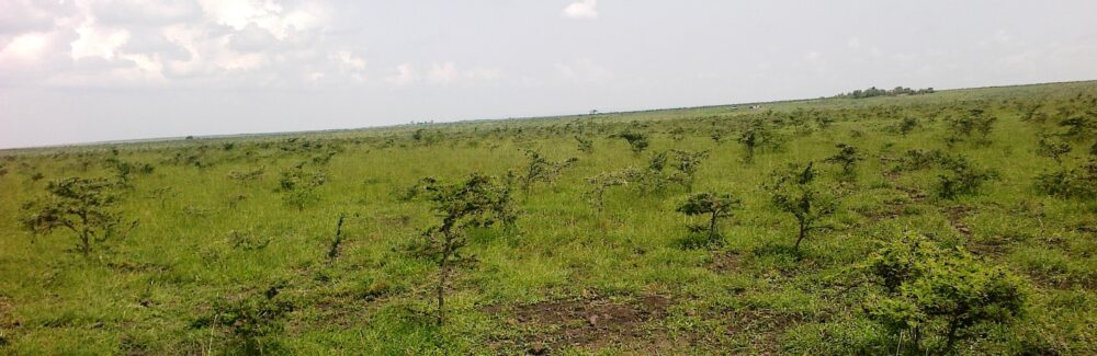 Kajiafo_County_Land_for_Sale.img08