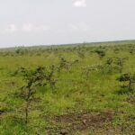 Kajiafo_County_Land_for_Sale.img08