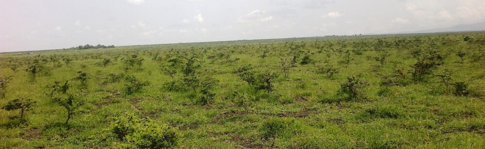 Kajiafo_County_Land_for_Sale.img09