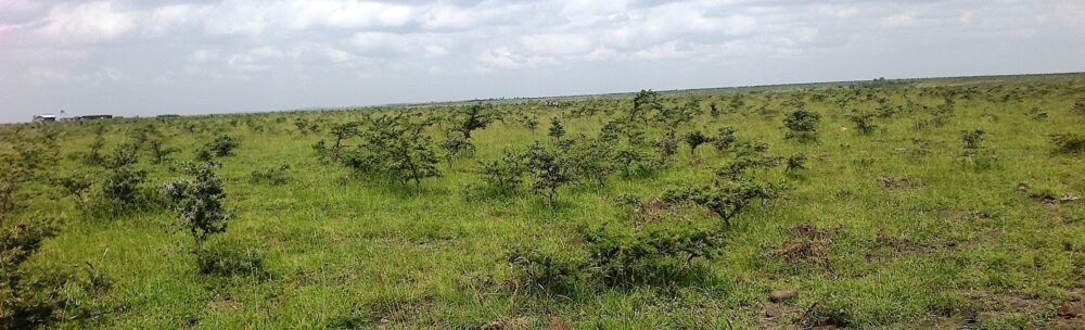 Kajiafo_County_Land_for_Sale.img10