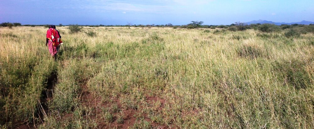 Kajiafo_County_Land_for_Sale.img15