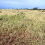 Kajiafo_County_Land_for_Sale.img15