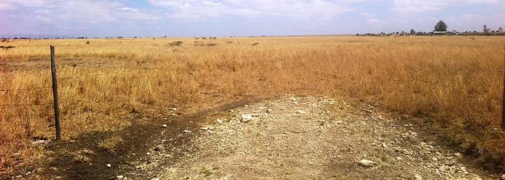 Kajiafo_County_Land_for_Sale.img21