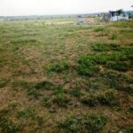 Kitengela_Plots_for_sale.7