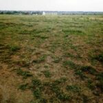 Kitengela_Plots_for_sale.8