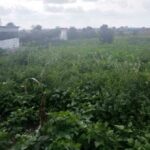 Land_for_sale_olturoto_kitengela.img02