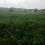 Land_for_sale_olturoto_kitengela.img05