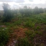 Land_for_sale_olturoto_kitengela.img07