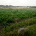 Land_for_sale_olturoto_kitengela.img09