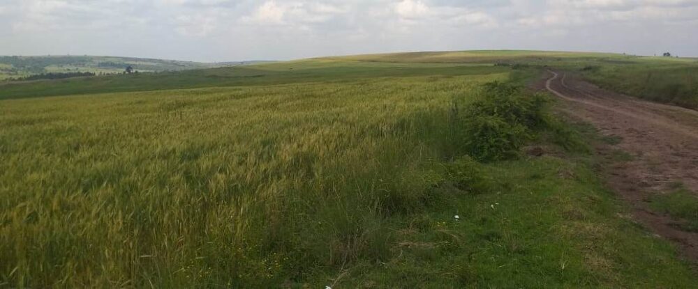 Narok_Land_for_sale.img1