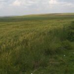 Narok_Land_for_sale.img1