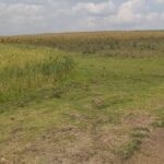 Narok_Land_for_sale.img4