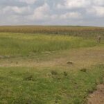 Narok_Land_for_sale.img5