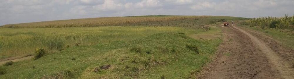 Narok_Land_for_sale.img6