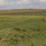 Narok_Land_for_sale.img6