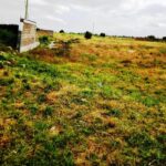 Kisaju_Kitengela Plots for sale. 0001