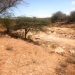 Mashuru_land_for_sale.005