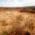 Mashuru_land_for_sale.007