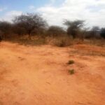 Mashuru_land_for_sale.009