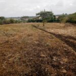 Kipeto_Birika_Land_for_sale.01