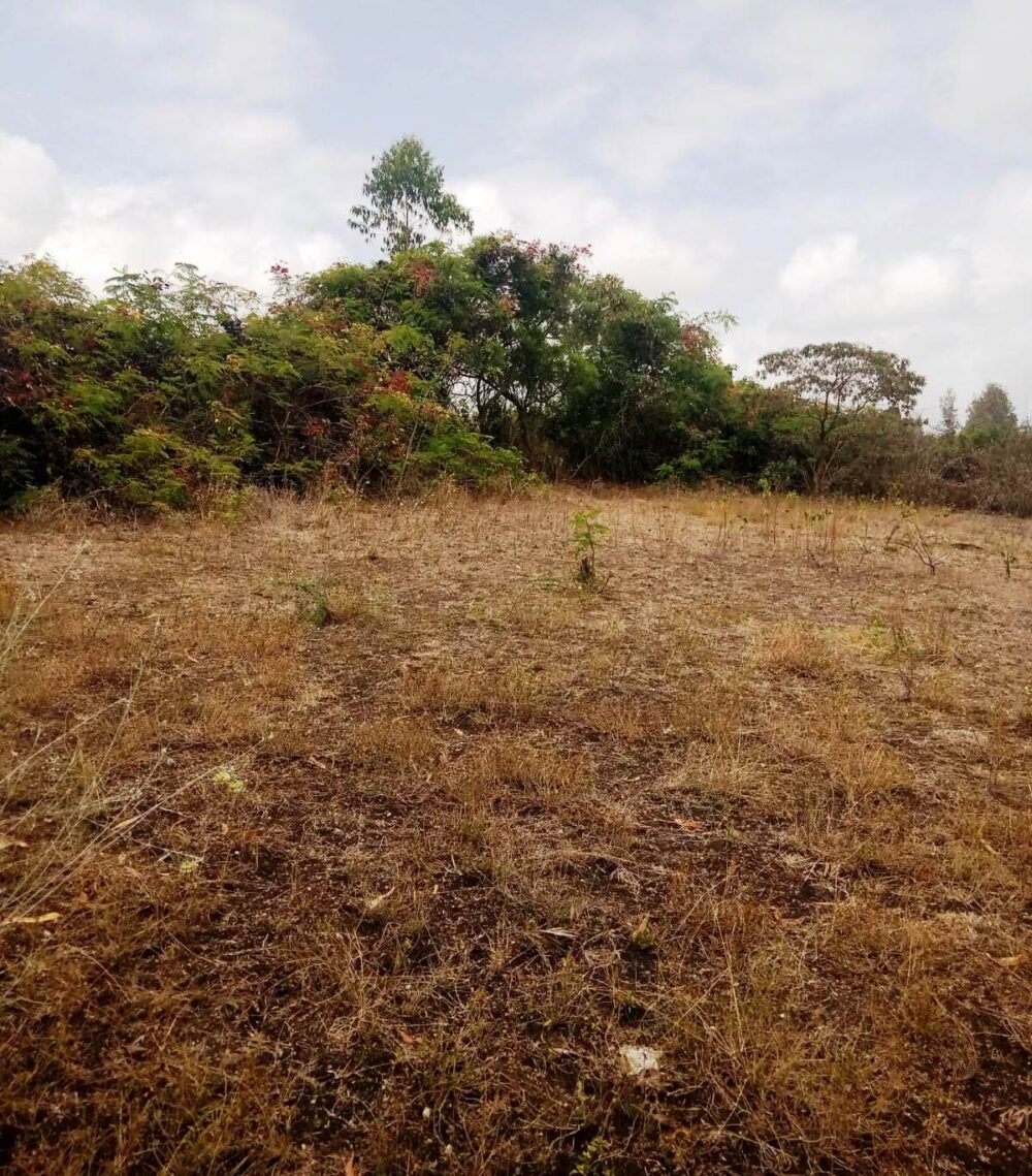 Kipeto_Birika_Land_for_sale.03