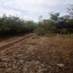 Kipeto_Birika_Land_for_sale.07