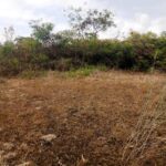 Kipeto_Birika_Land_for_sale.08